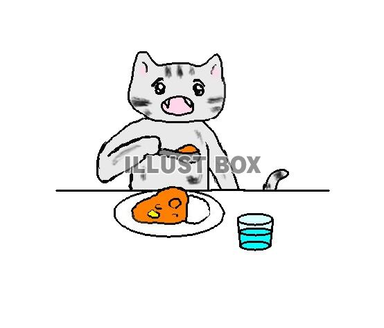 ねこまる・・・カレーを食べる【透過】PNG