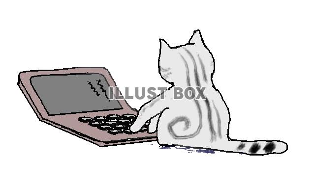 ねこまる・・ワープロを打つ【透過】PNG