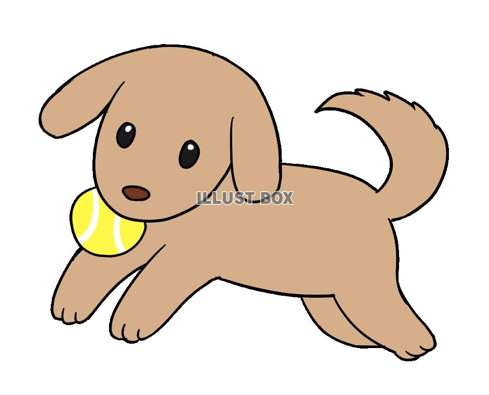 無料イラスト ボールをくわえた犬 透過png