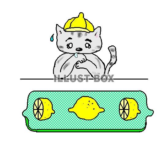 ねこまる・・・すっぱいレモン【透過】PNG