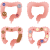 大腸アイコンセット（表情なし）（png・CSeps）