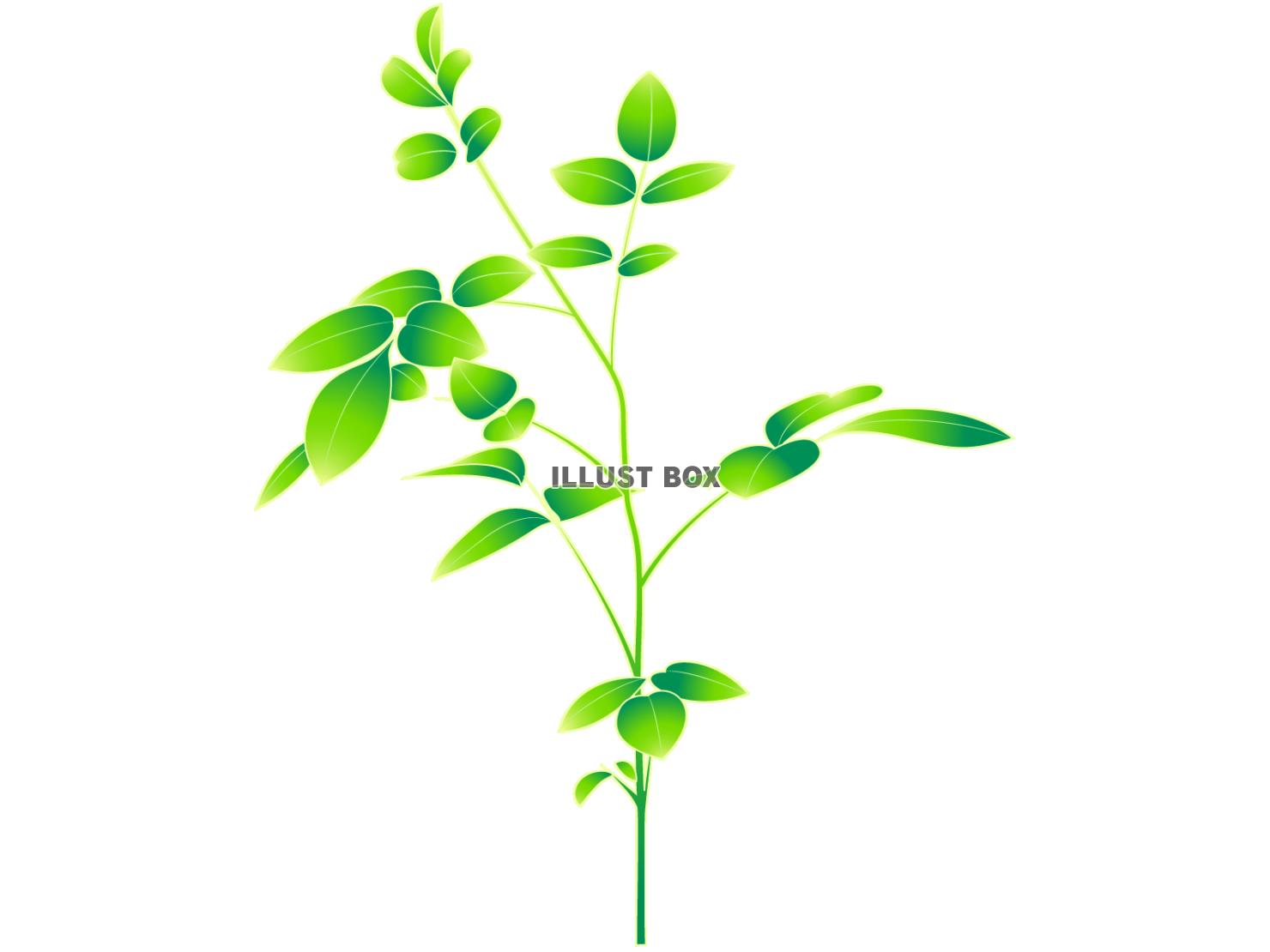 エコ 若葉 草 植物 リサイクル イラスト無料