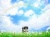しろつめ草、ハスキー犬背景（jpgのみ）
