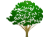 木アイコン（png・CSeps）