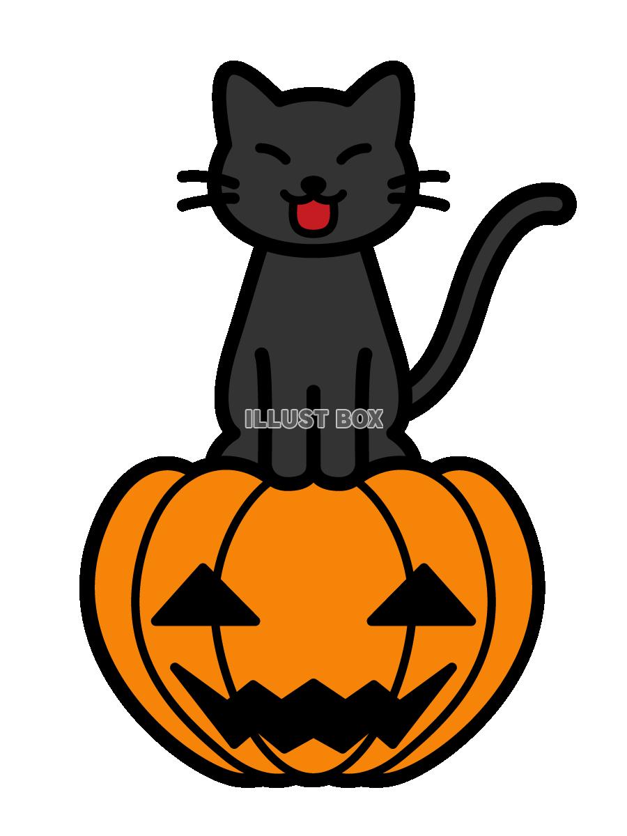 黒猫とジャックランタンのイラスト　(透過PNG)