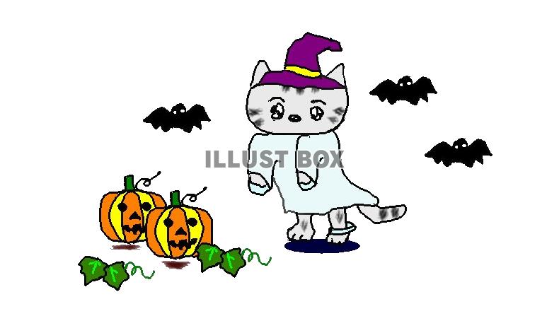 ねこまる・・・ハロウィンパーティに行く【透過】PNG