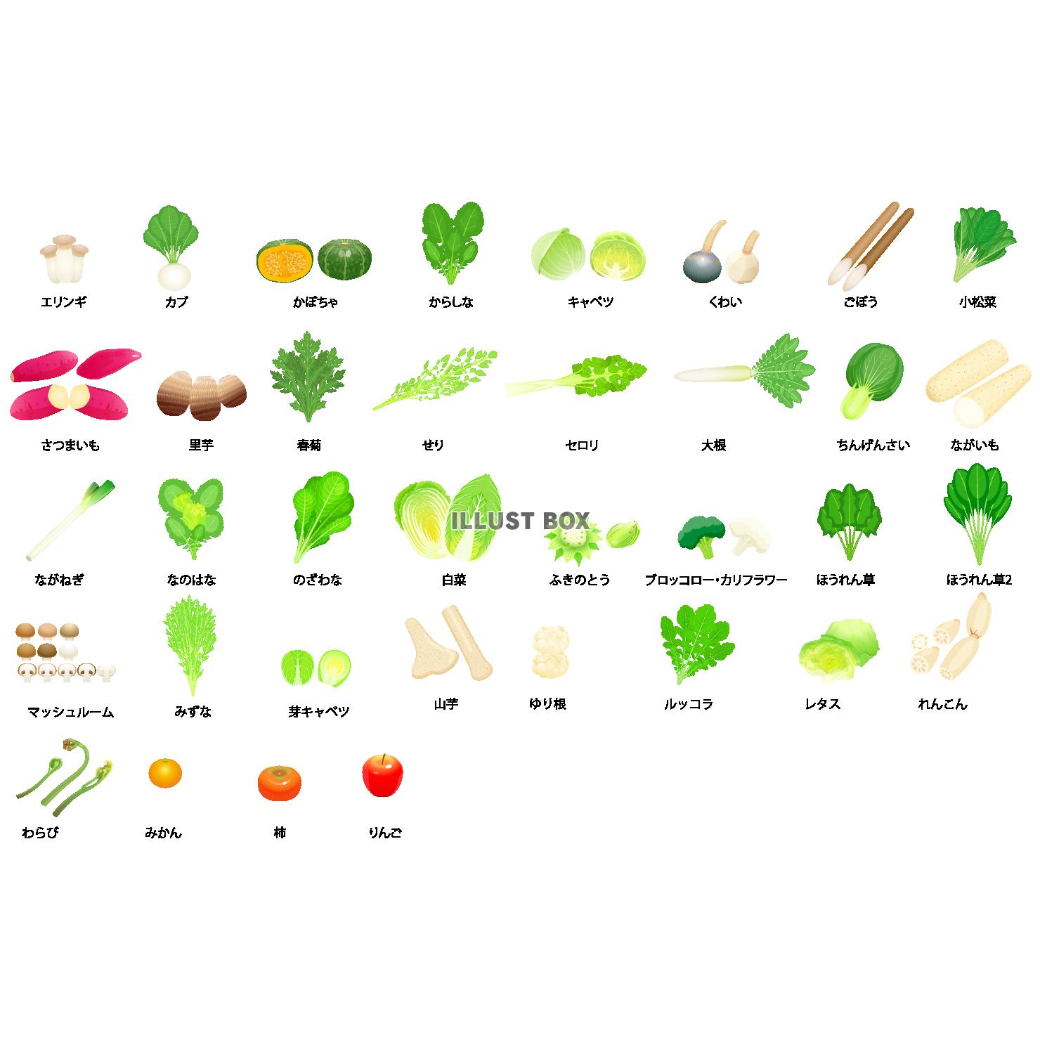 無料イラスト 冬野菜アイコン Png Cseps