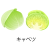 キャベツアイコン(png・CSeps）
