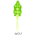 セロリアイコン(png・CSeps）