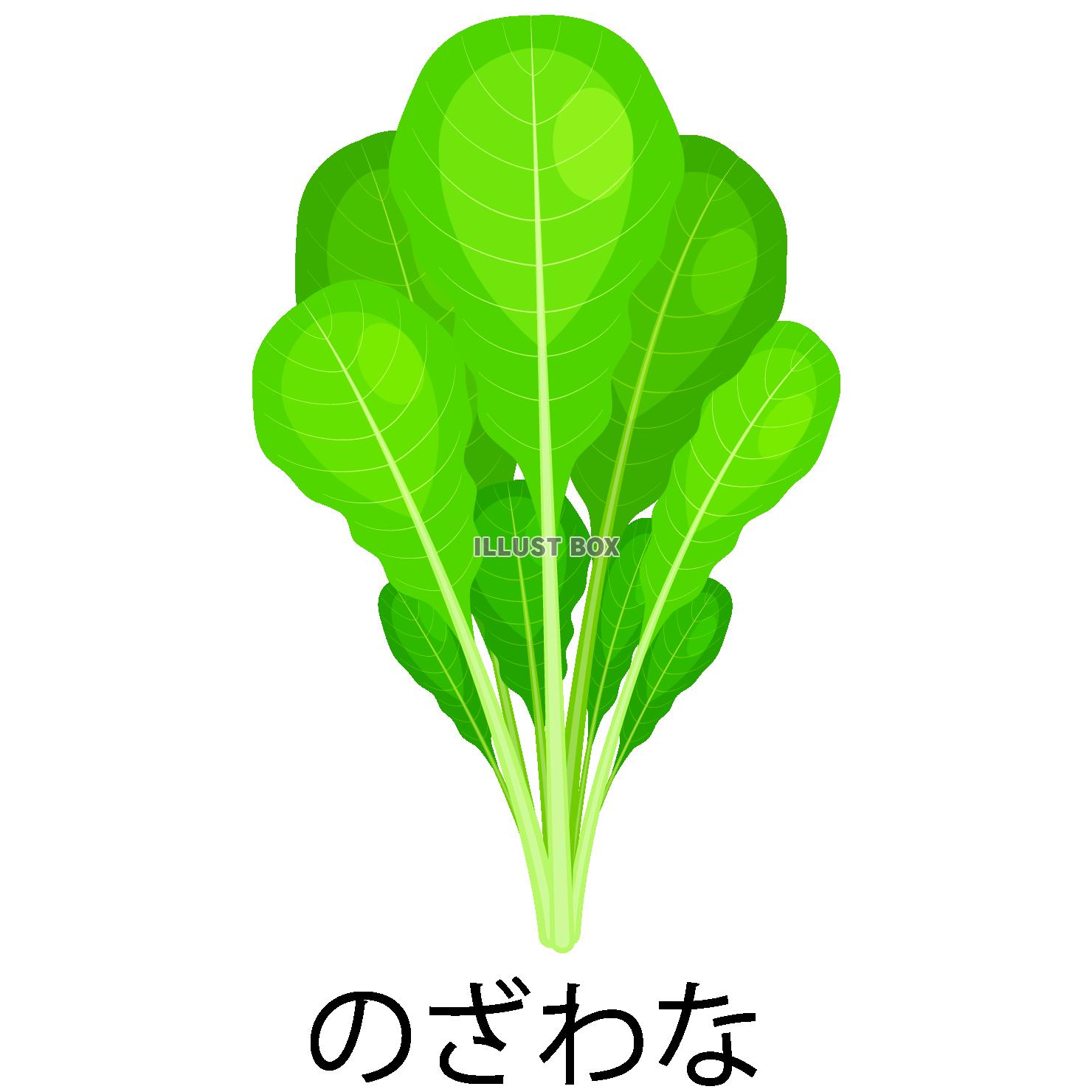 のざわなアイコン(png・CSeps)