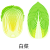 白菜アイコン(png・CSeps）