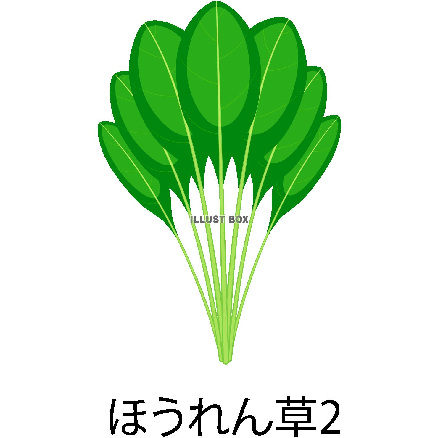 ほうれん草アイコン(png・CSeps）