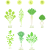 春の七草(png・CSeps）