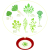 春の七草2(png・CSeps）