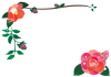 椿の花フレーム【透過PNG】