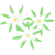 エーデルワイスの花(png・CSeps）
