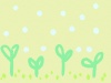 植物の芽生え