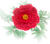 ぼたん（pngのみ）