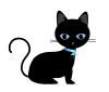 黒猫（子猫）02