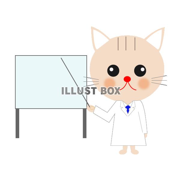 猫のお医者さん１