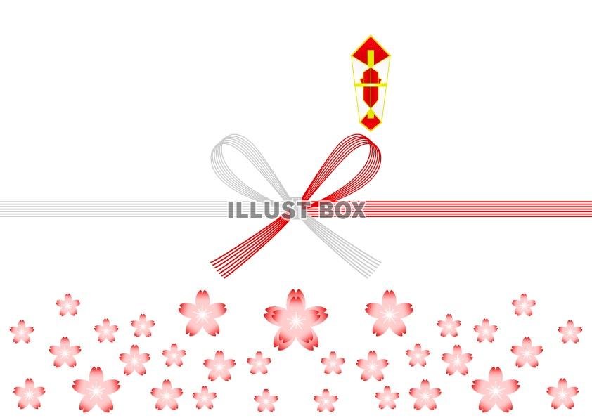 熨斗紙・蝶結び/紅白/桜 : イラスト無料