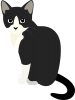 ねこ(png・CSeps）