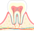 奥歯(png・CSeps）