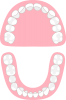 歯(png・CSeps）