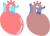 心臓(png・CSeps）