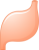 胃(png・CSeps）