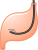 胃カメラ(png・CSeps）