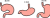 胃の種類(png・CSeps）