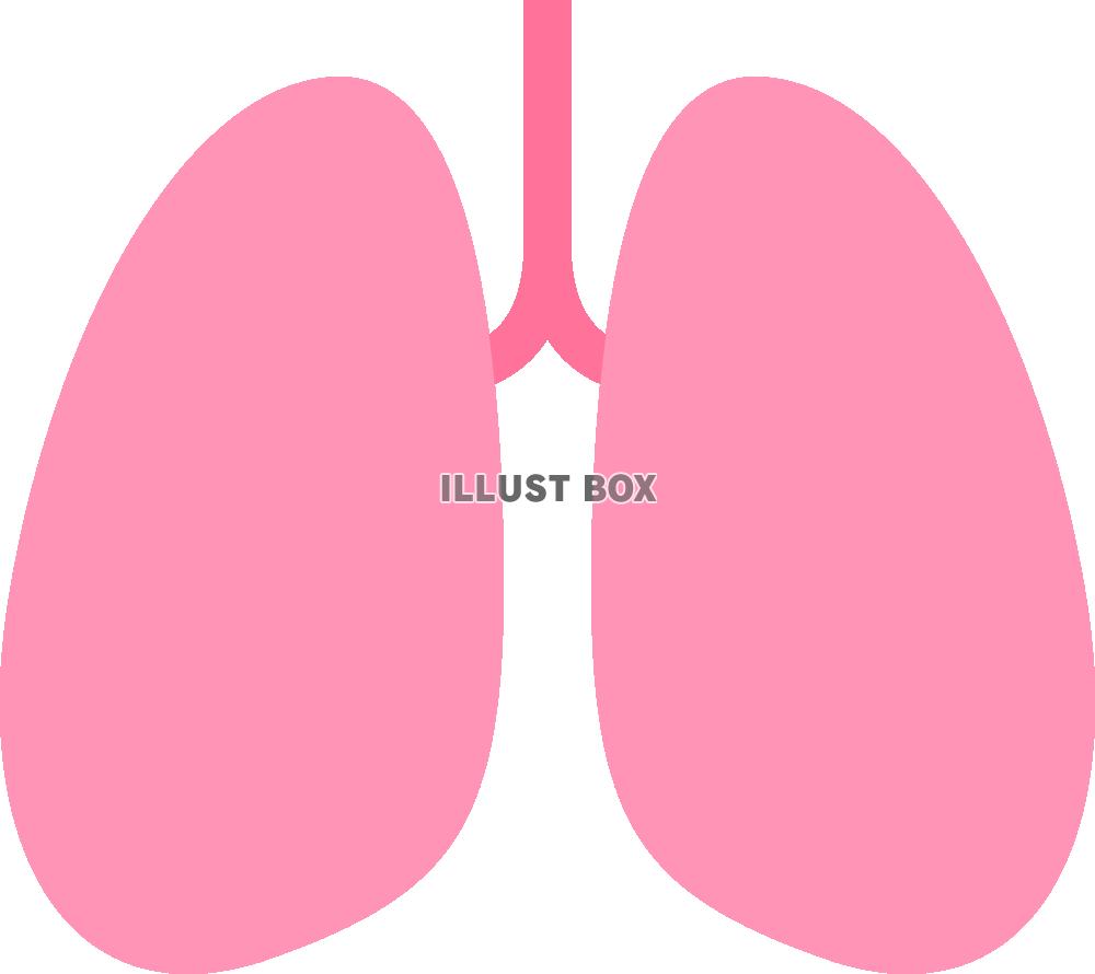 肺(png・CSeps）