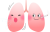 肺キャラクター(png・CSeps）