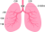 肺(png・CSeps）