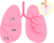 肺と肺胞(png・CSeps）