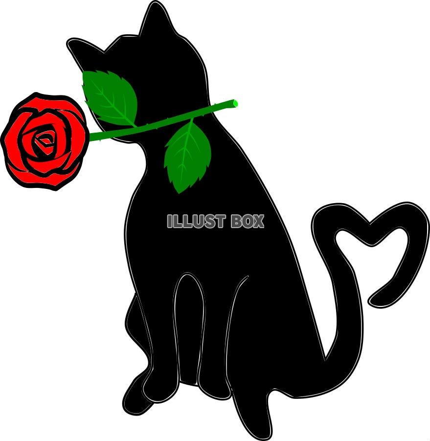 バラをくわえた黒猫【JPEG】