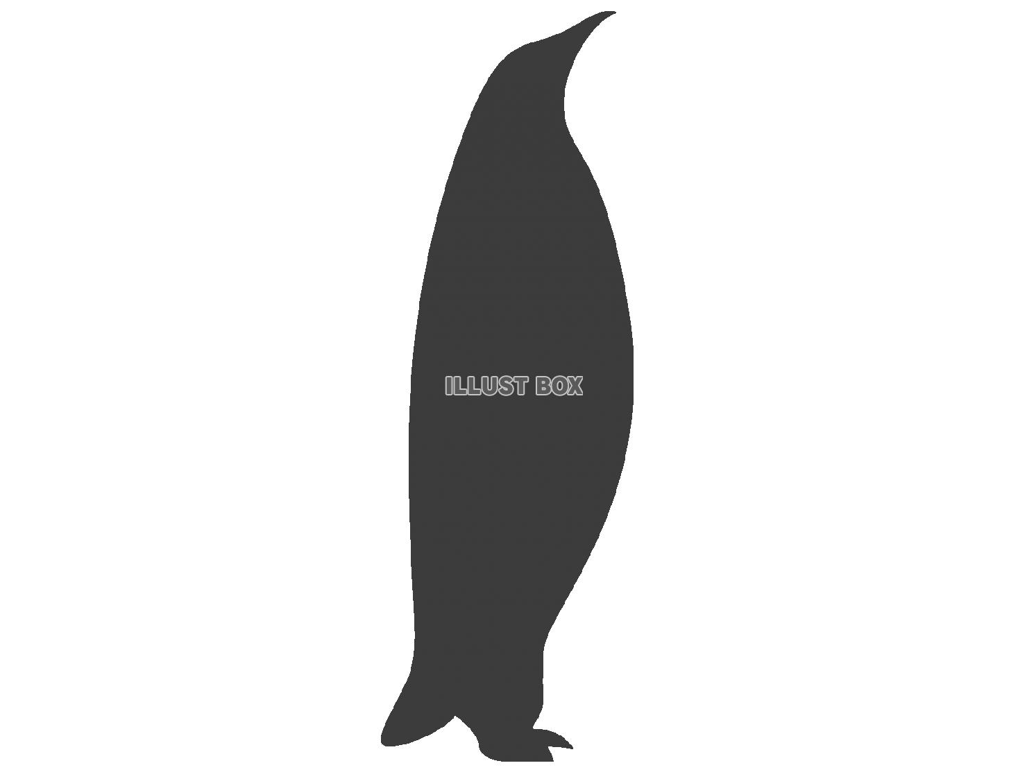 無料イラスト ペンギンシルエット Png Cseps