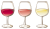 ワイン　グラス　３種類
