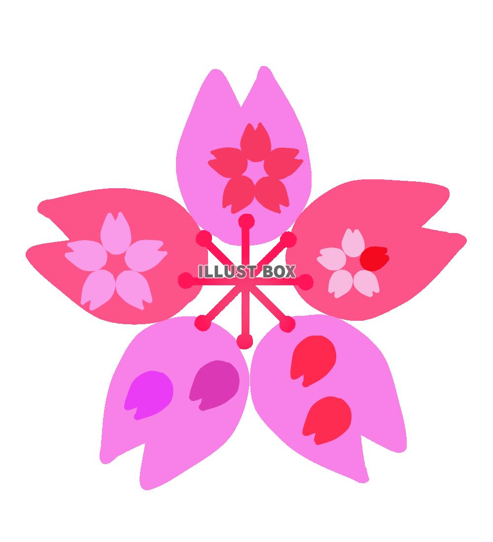 桜イラスト　透過png