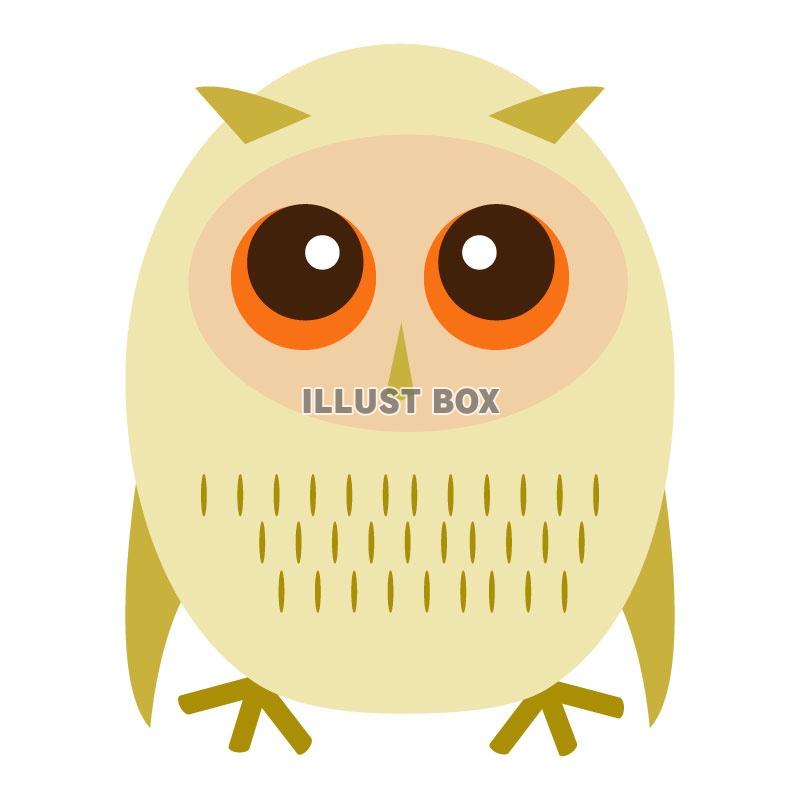 ふくろう1