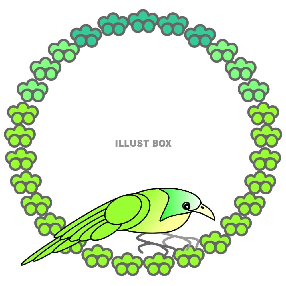 花と鳥のイラスト7