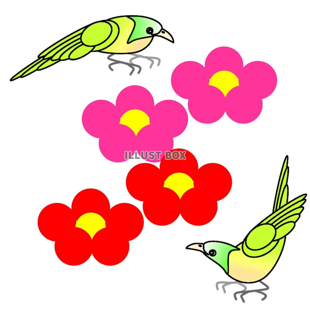 無料イラスト 花と鳥のイラスト5