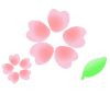 桜イラスト　透過png