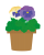 パンジーの鉢植え