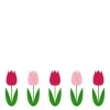 春の花1