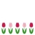 春の花1