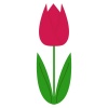 春の花2