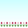 春の花3