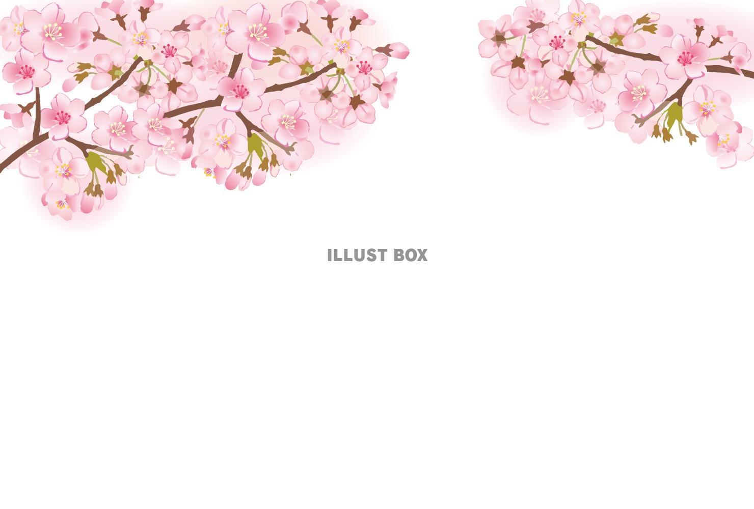 美しい花の画像 無料ダウンロード桜の枝 イラスト